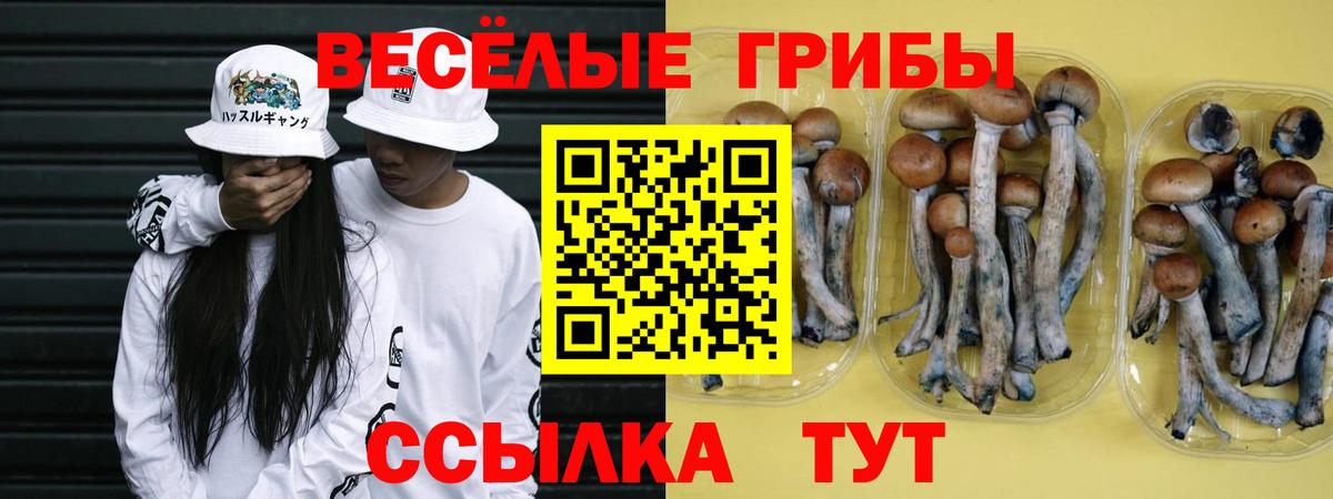 Галлюциногенные грибы прущие грибы Богородицк