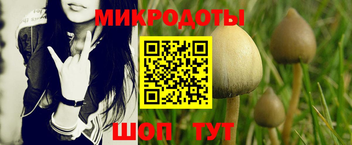 Богородицк  Псилоцибиновые грибы GOLDEN TEACHER  Галлюциногенные грибы Psilocybine cubensis  Вход с VPN 